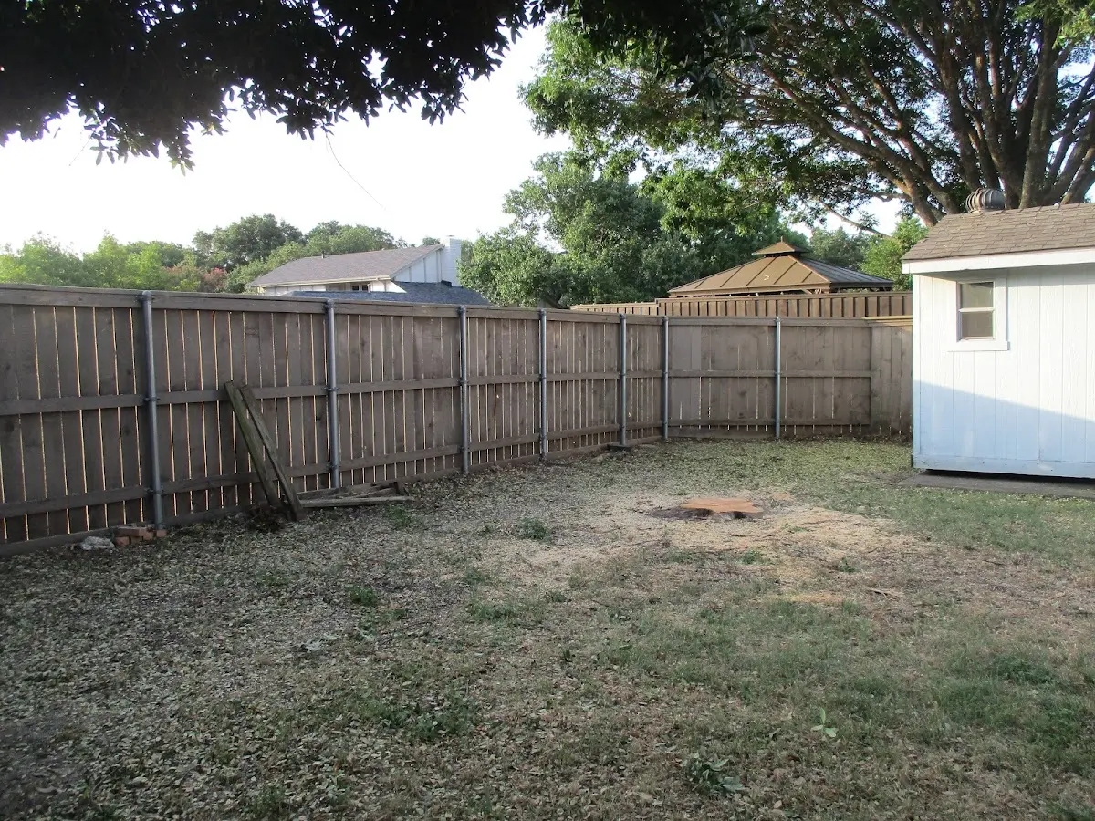 Cleared yard after professional tree removal in Portersville